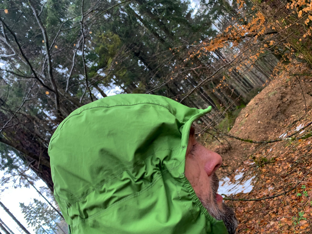 Die Kapuze der La Sportiva Run JKT